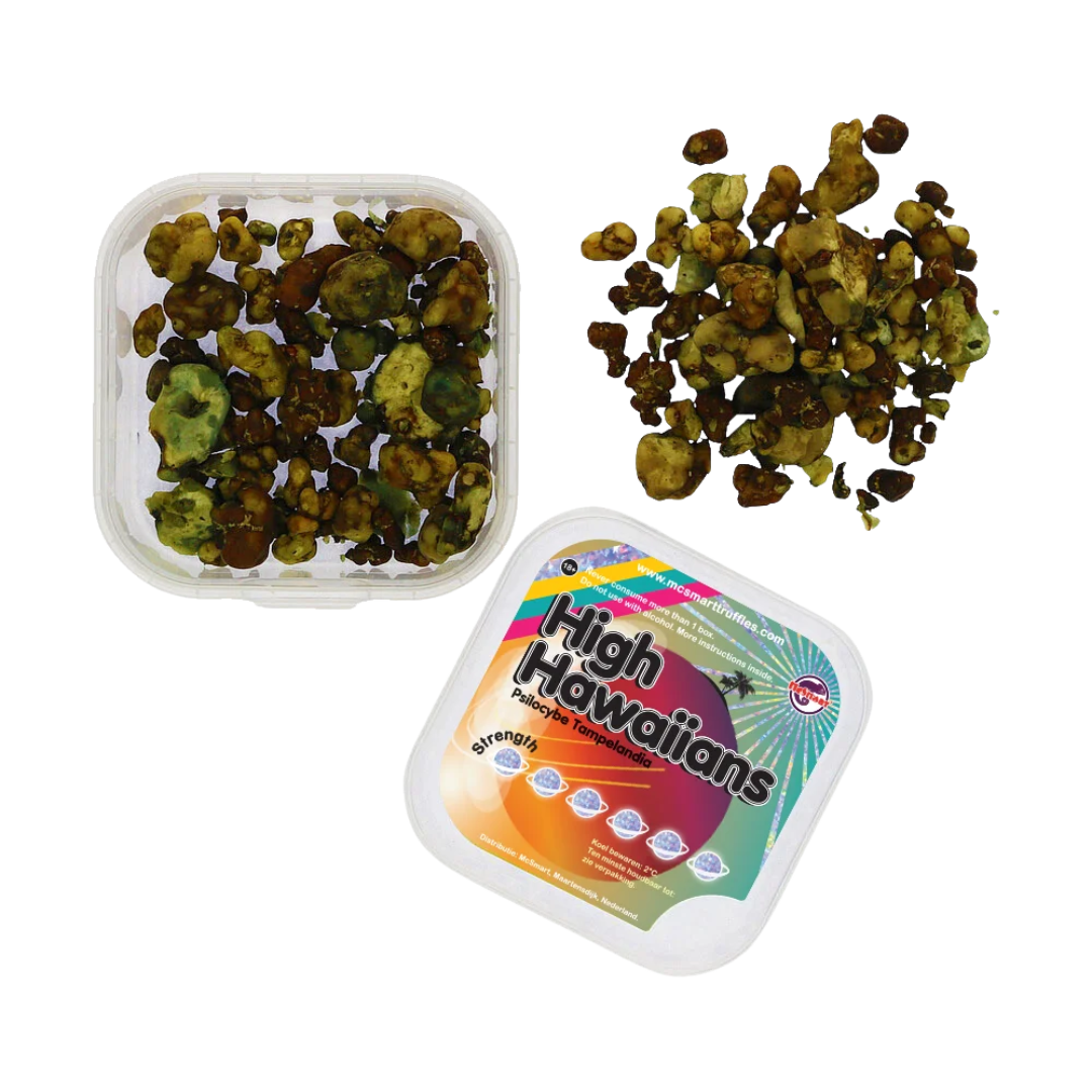 High Hawaiians magic truffles out of the pack – fresh psilocybin sclerotia