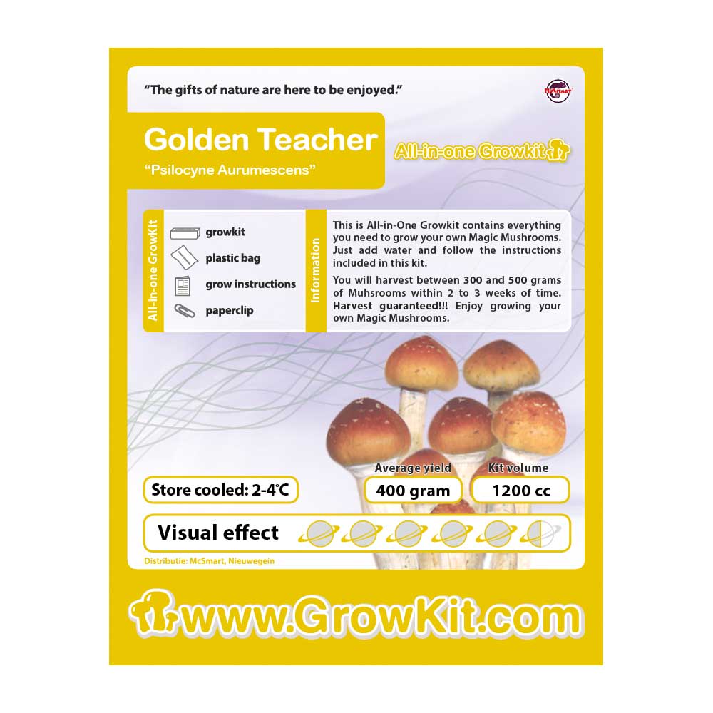 Kit di coltivazione Golden Teacher – Vassoio di coltivazione da 1200 cc con micelio completamente colonizzato