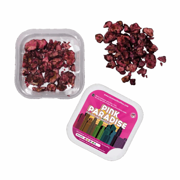 Tartufi magici Pink Paradise appena estratti dalla confezione – sclerozi di psilocibina freschi