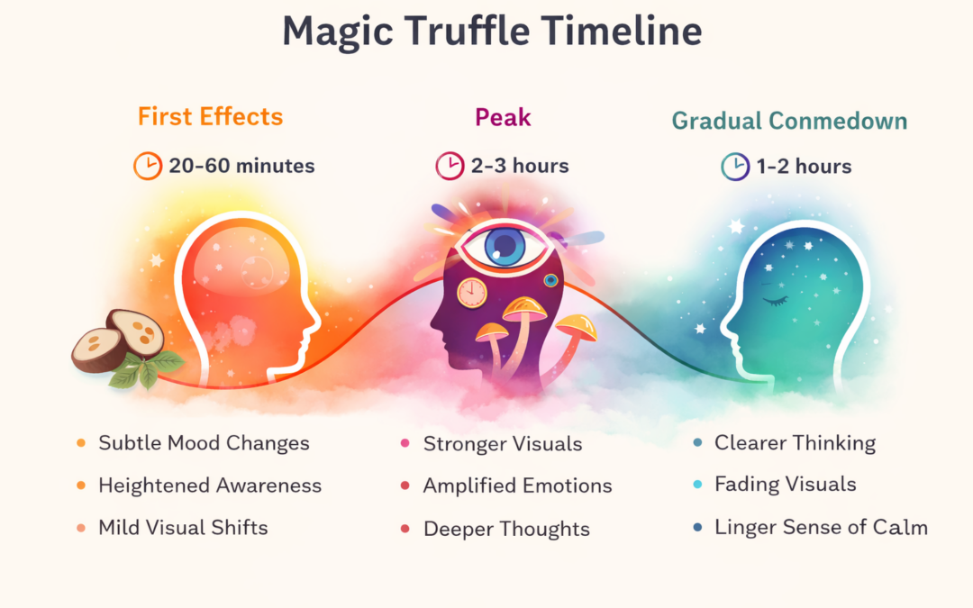 Combien de temps durent les truffes magiques ? Durée et effets